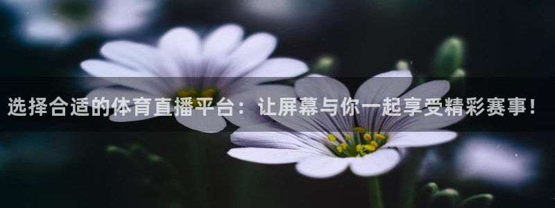 选择合适的体育直播平台：让屏幕与你一起享受精彩赛事！
