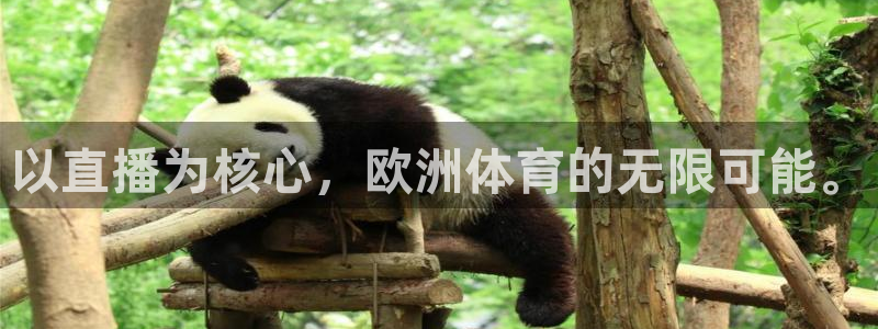 以直播为核心，欧洲体育的无限可能。