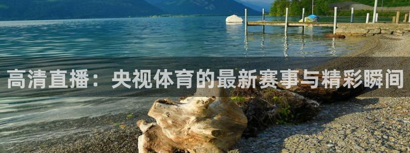 高清直播：央视体育的最新赛事与精彩瞬间