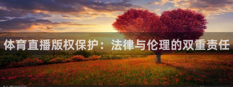 体育直播版权保护：法律与伦理的双重责任