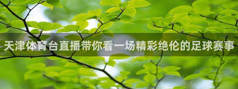 天津体育台直播带你看一场精彩绝伦的足球赛事