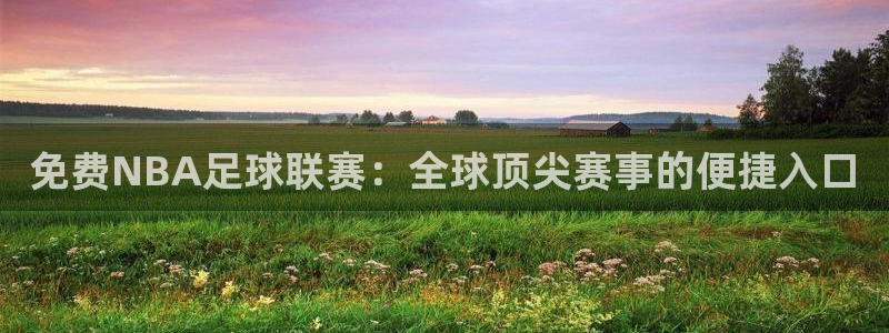 免费NBA足球联赛：全球顶尖赛事的便捷入口