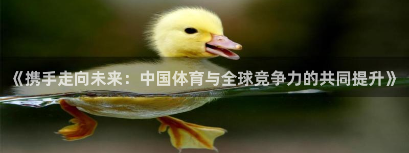 《携手走向未来：中国体育与全球竞争力的共同提升》