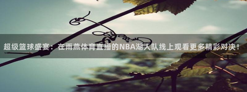 超级篮球盛宴：在雨燕体育直播的NBA湖人队线上观看更多精彩对决！