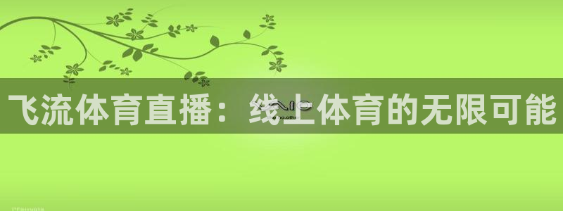 飞流体育直播：线上体育的无限可能