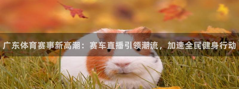广东体育赛事新高潮：赛车直播引领潮流，加速全民健身行动