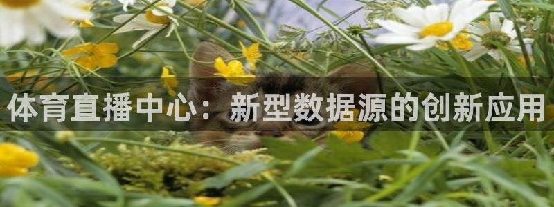 体育直播中心：新型数据源的创新应用