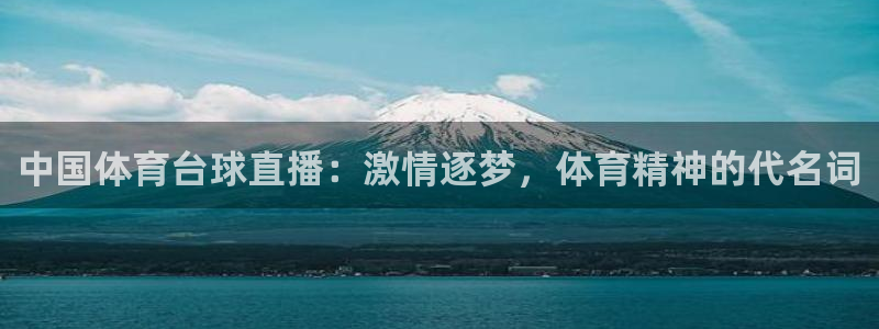 中国体育台球直播：激情逐梦，体育精神的代名词