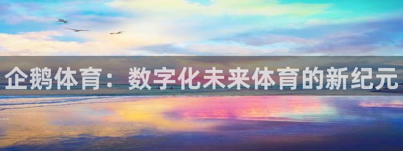 企鹅体育：数字化未来体育的新纪元
