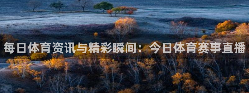 每日体育资讯与精彩瞬间：今日体育赛事直播