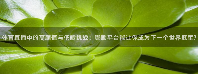 体育直播中的高颜值与低龄挑战：哪款平台能让你成为下一个世界冠军?