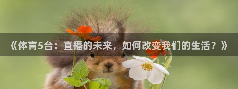 《体育5台：直播的未来，如何改变我们的生活？》